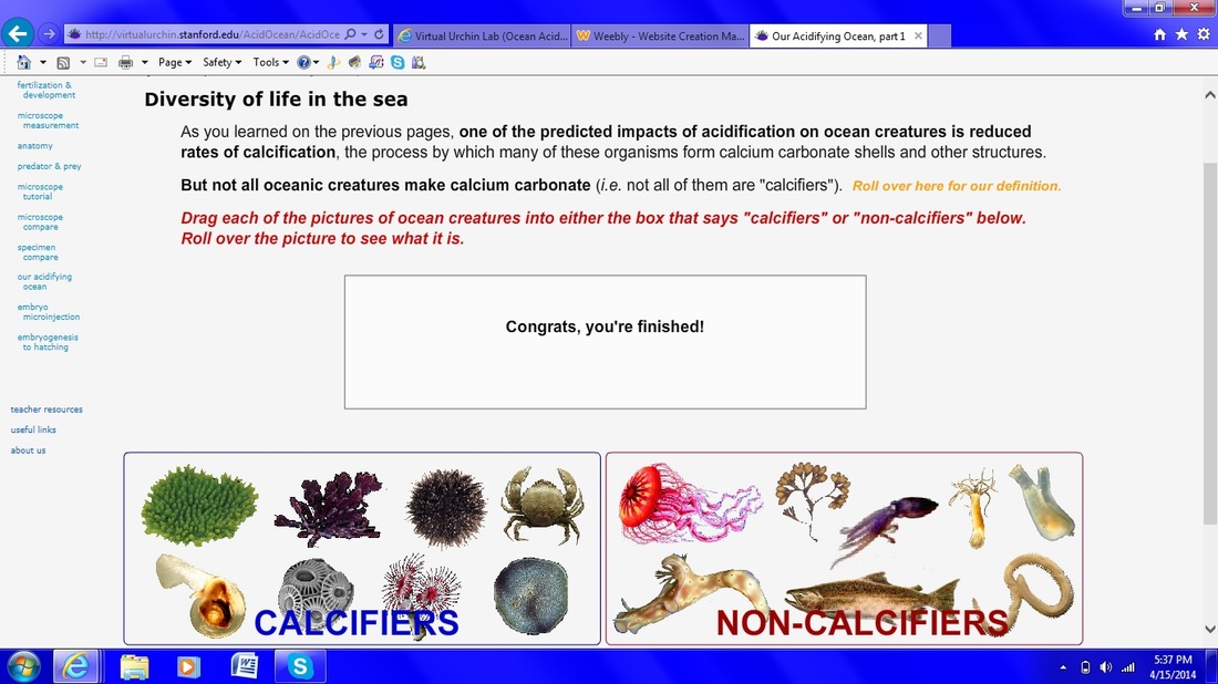 virtual-urchin-lab-ocean-acidification-felix-marine-science